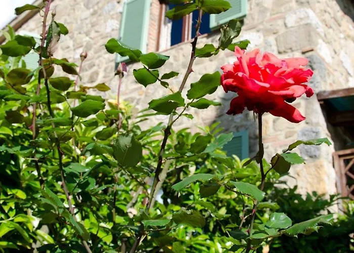 Tenuta Colombaio